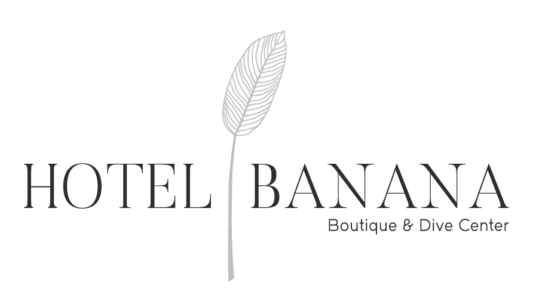 logo-banana_Mesa de trabajo 1